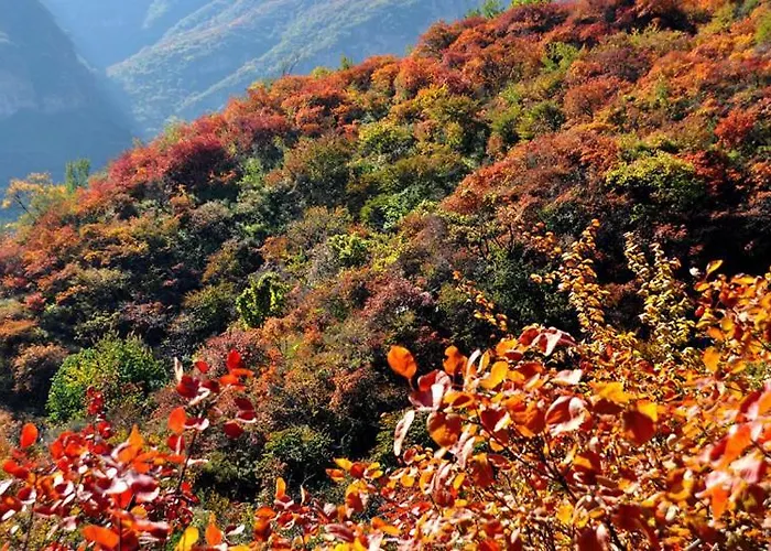 Nost Algia S Hotel Near University Of Chinese Academy Of Social Sciences - Near Peking Man Site At Zhoukoudian,, Shidu Scenic Spots, Free Ice Cream, Mineral Water, Coffee, Snacks And Laundry Service, Free Gymnastic, English Communication Well